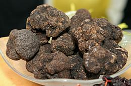 Black Truffle