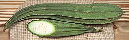 Luffa