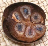 Monk Fruit, Dried, Split