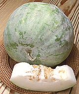 Ash Gourd, whole and slice
