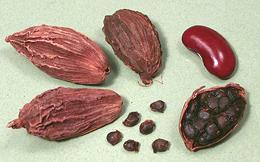 Black Cardamom Pods and Seeds