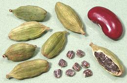 Green Cardamom Pods and Seeds