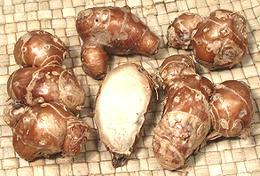 Lesser Galangal Rhizomes