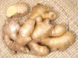 Ginger Rhizomes