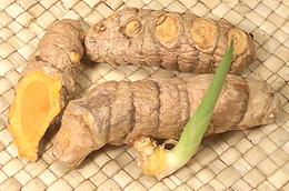 Yellow Turmeric Rhizomes