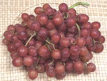 Bunch of Flame Red Grapes