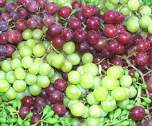 Mix of various Grapes