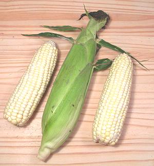 Ears of Sweet Corn, in husk and peeled