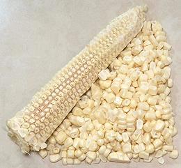 Corn Cob with Stripped Kernels
