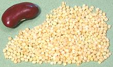 Millet Seeds