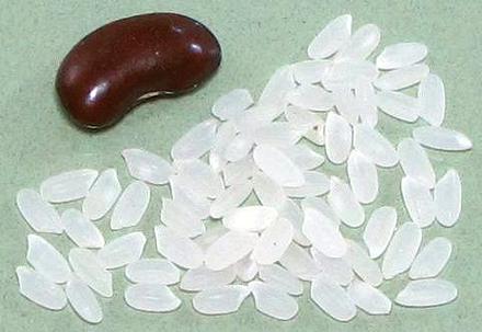 Milled California japonica rice grains