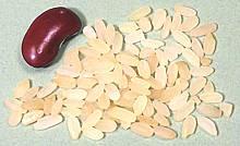 Grains