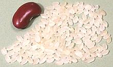 Grains