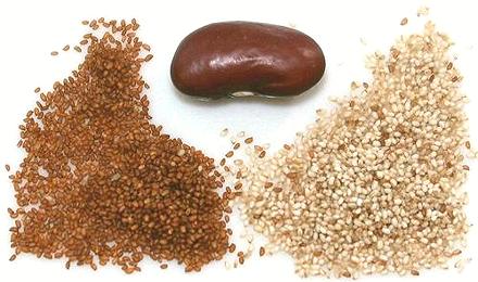 Whole Teff Grains, Brown, Ivory