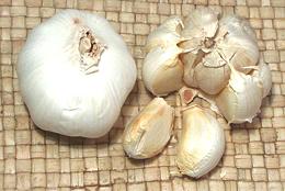 Garlic head and cloves