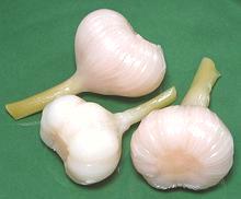 Thai Pickled Garlic