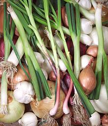 Various Onions