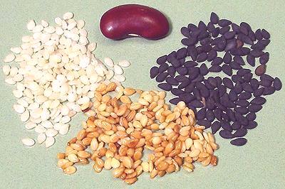 Sesame Seeds