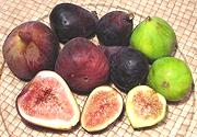 Figs