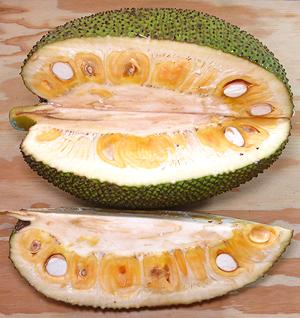 Cut Jackfruit