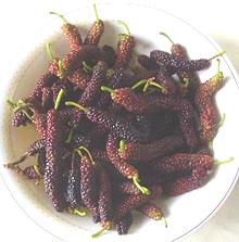 Berries