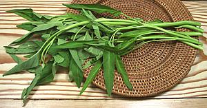 Water Spinach