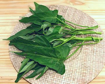 Hard Stemed Water Spinach