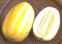 Oriental Melon