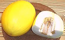 Melon