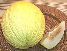 Melon