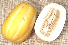Oriental Melon