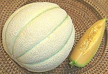 Melon