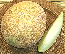 Melon