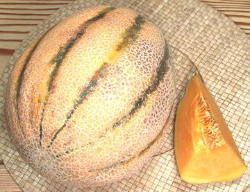 Whole Fully Ripe Tuscan Style Melon, and Slice