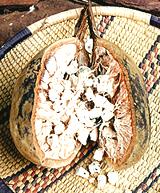 Fruit