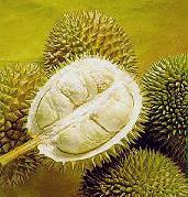 fruit