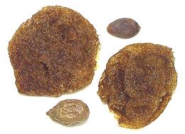 Malva Nut Fruit, dried and expanded