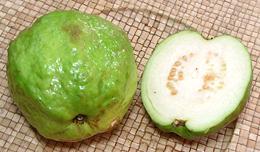 Large Guava Fruit, whole, cut