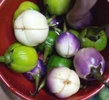 Ethiopian Eggplants, northen India