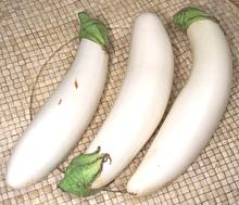 White Eggplants