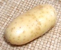 Large White Potato