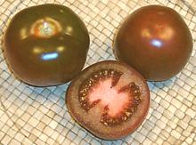 Tomatoes