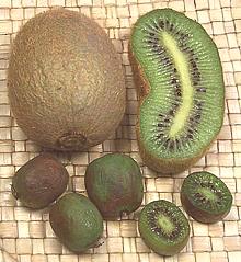 Standard size Kiwis and Kiwi Berries