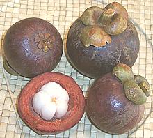 Mangosteens