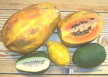 Papayas