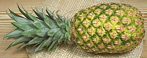 Whole Pineapple Fruit