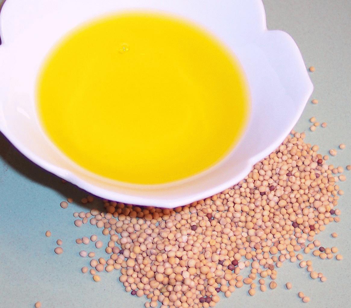 Oil & Seeds
