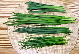 Several kinds of Chives