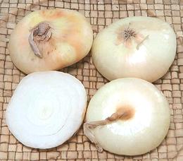 Cipolline Onions, wholse and cut