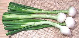 Fresh Onions